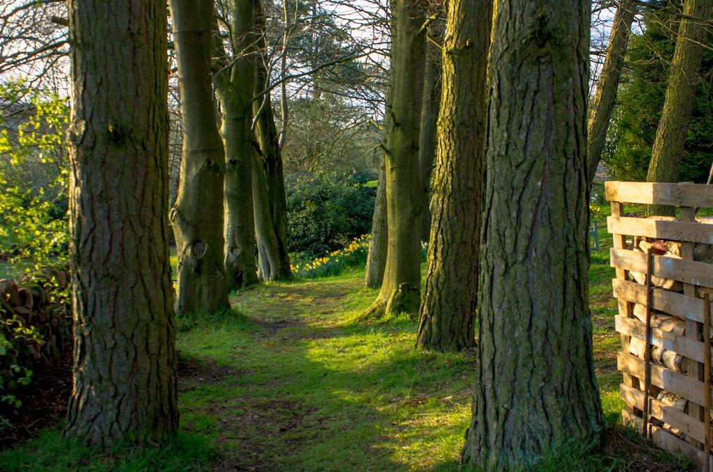 Robin Hood Farm B&B Baslow Eksteriør billede